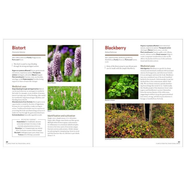 The Herbal Apothecary: 100 Medicinal Herbs and How to Use Them Paperback