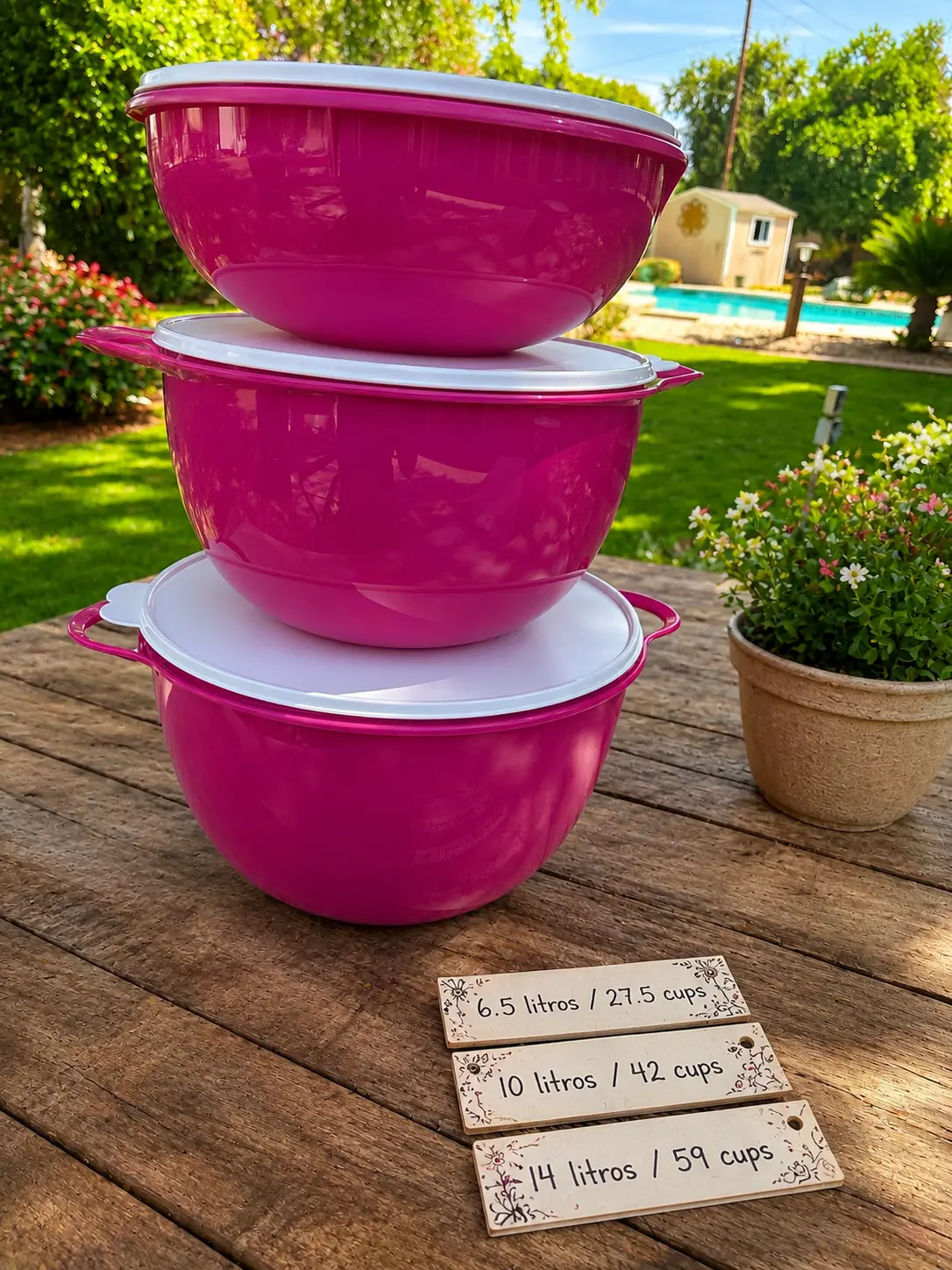 3-Bowl Extra-Large Food Storage Set with Lids – 6.5 L, 10 L & 14 L