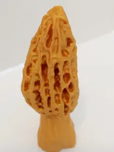 Morel Mushroom Figurine, Morel Mushroom Ornament, Morel Mushroom Decoration for inside or outside