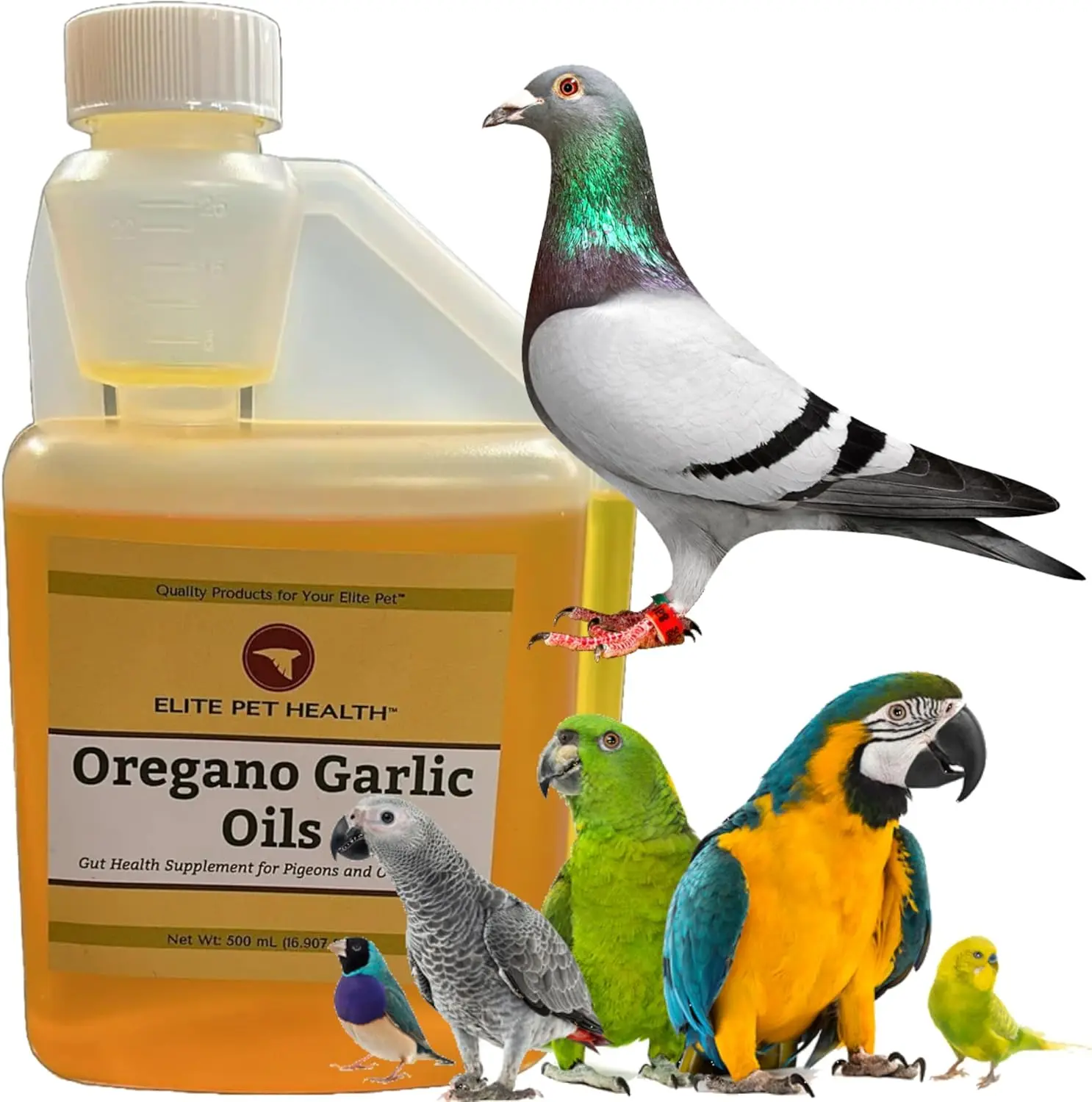 FARMALAB Natural Oregano Garlic Oil Bird Supplements - 500g Gut Health Aid, Hairball Remedy & Food-Additive Digestion Support for Pigeons, Bird Healthcare Supplies