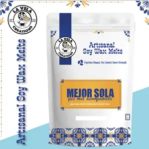 Mejor Sola ~ Japanese Blossom, Ocean Infusion ~ Artisanal Soy Wax Melts