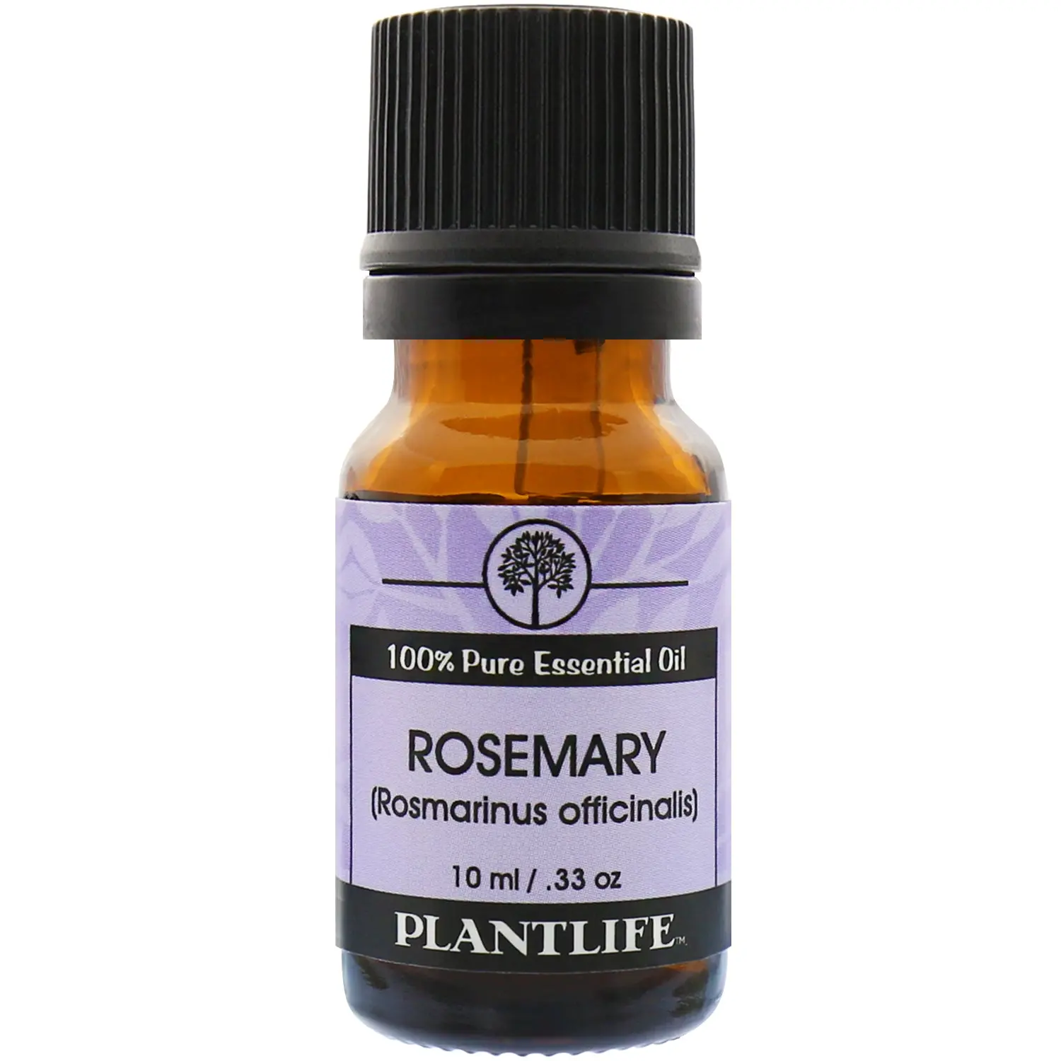 Plantlife Rosemary Essential Oil 10 ml – Fresh Herbal Aromatherapy Oil