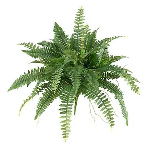 Nearly Natural Boston Fern Set of 2