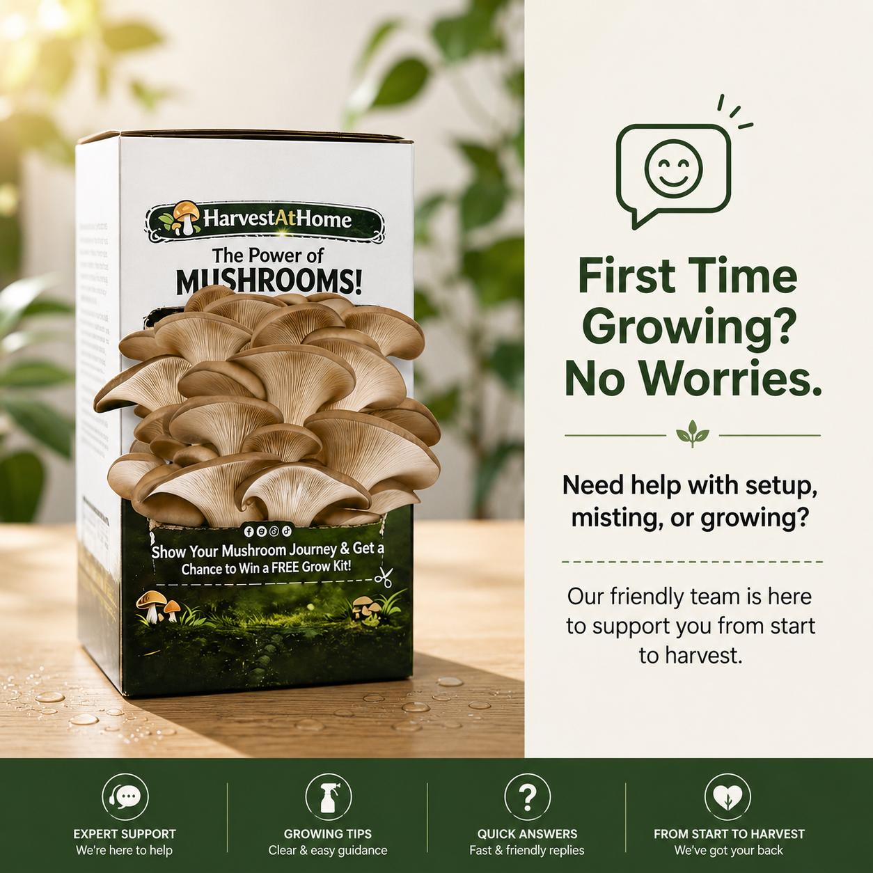 Organic Oyster Mushroom Grow Kit 3.5 lb | 1-7 Days Harvest | Easy to Grow Indoor | No Soil/Sun Required, Multiple Harvests | USDA Organic | Non-GMO | Made in USA | Perfect for Home Kitchen & Gardening EnthusiastsGift for Adults & Kids
