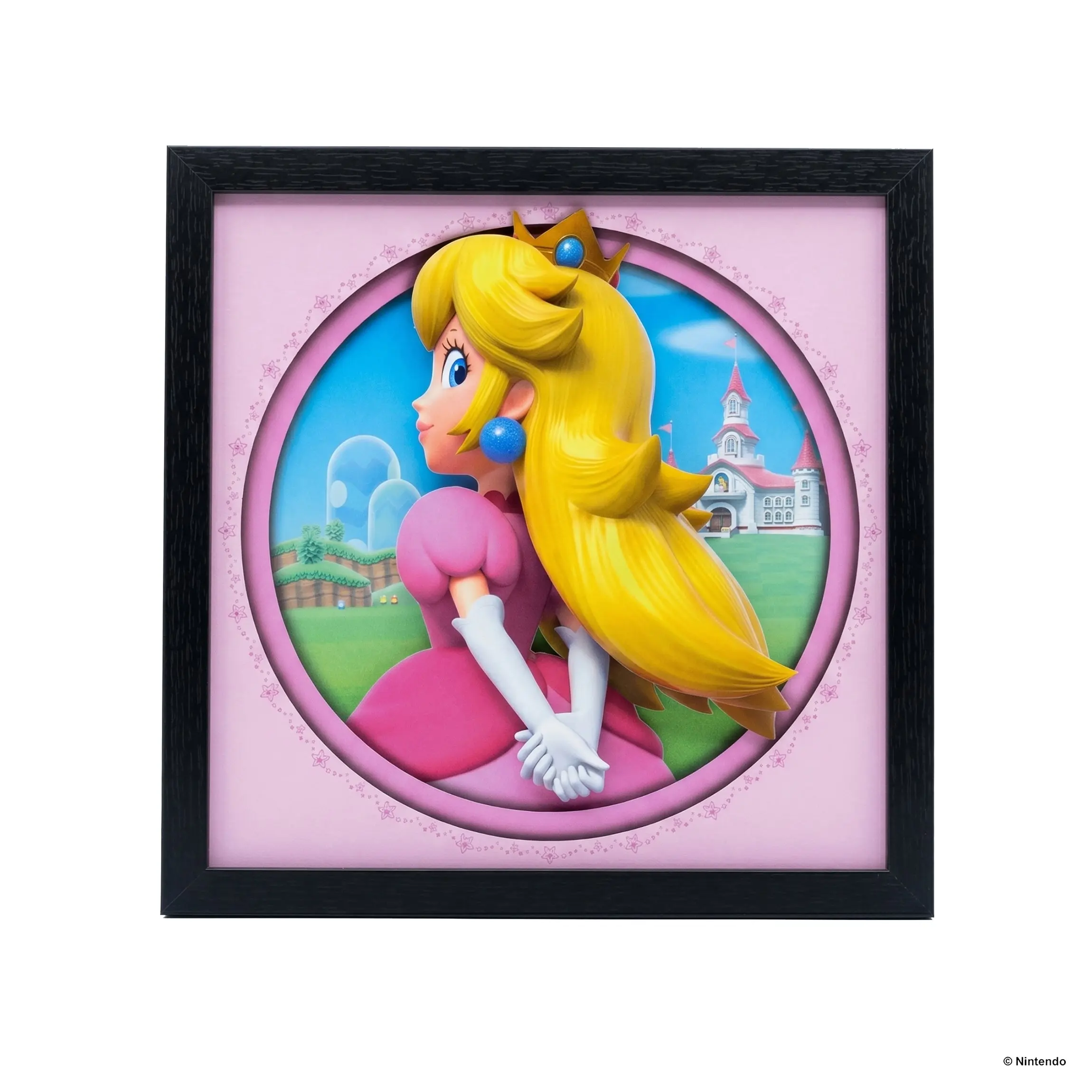 Super Mario-Peach Outside the Castle 12x12 Faux Matted Framed Under Plexi Glass