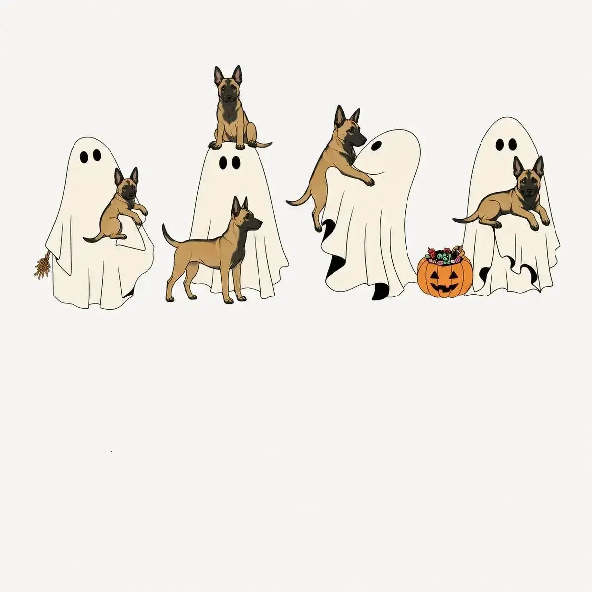 Belgian Malinois