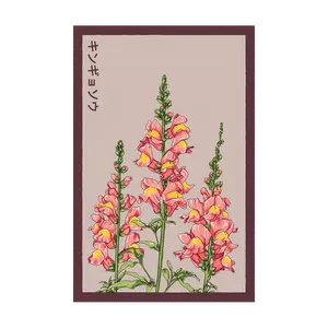 Snapdragon Flower Seeds Packet