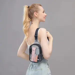 Mini Clear Bag