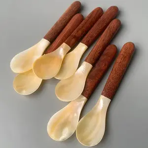 Natural Shell Spoon Handmade Pearl Mussel Shell Caviar Vietnamese Wooden Handle Shell Cucharilla