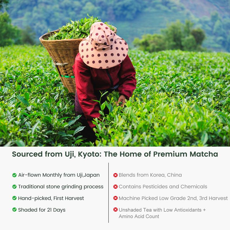 Kyoto Uji Ceremony Grade Stone-Ground Matcha Powder Sugar-Free Contains Tea Polyphenols L-Theanine & Caffeine Stress Relief Energy Focus