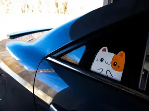 Kawaii Cat Peeker