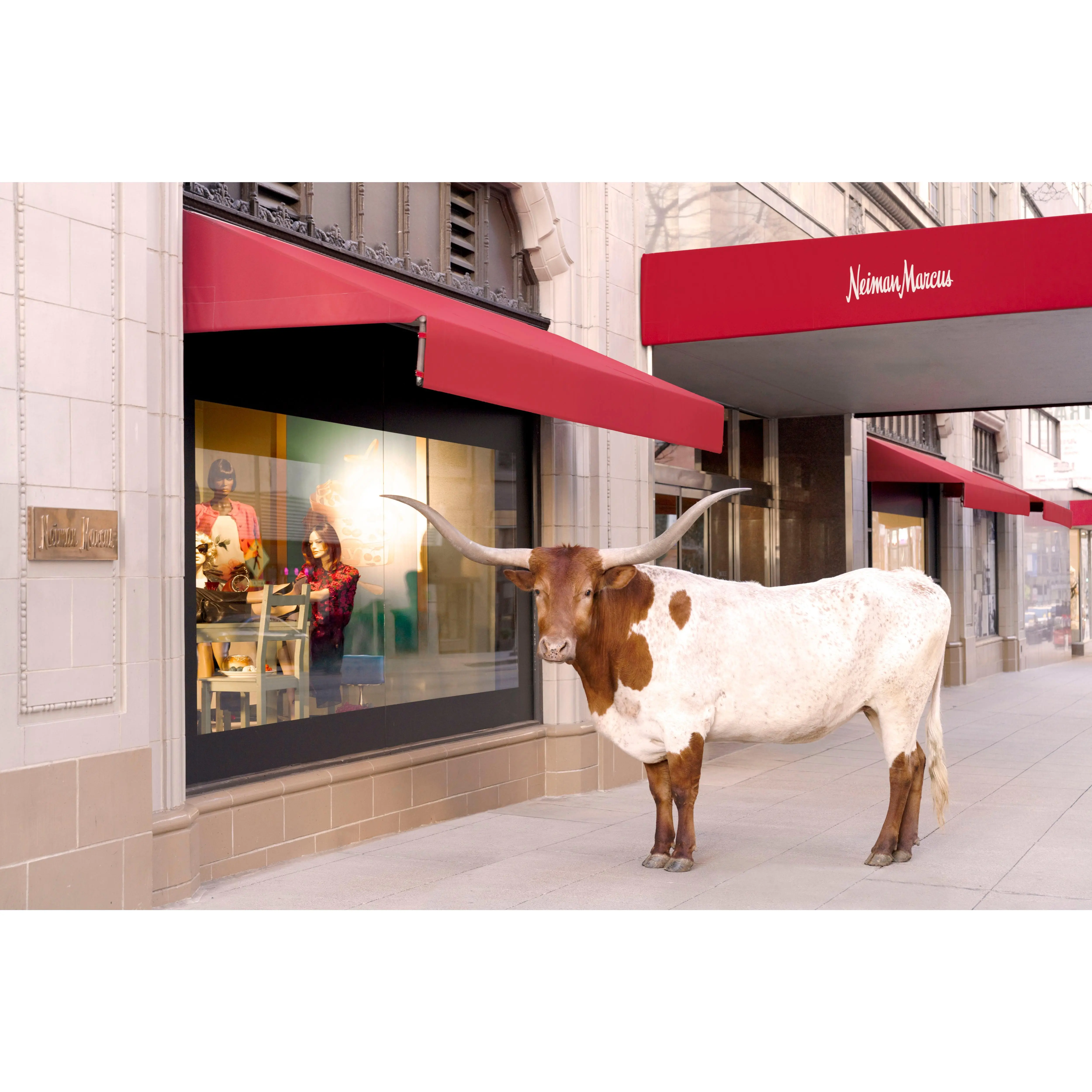 The Longhorn, Neiman Marcus, Downtown Dallas