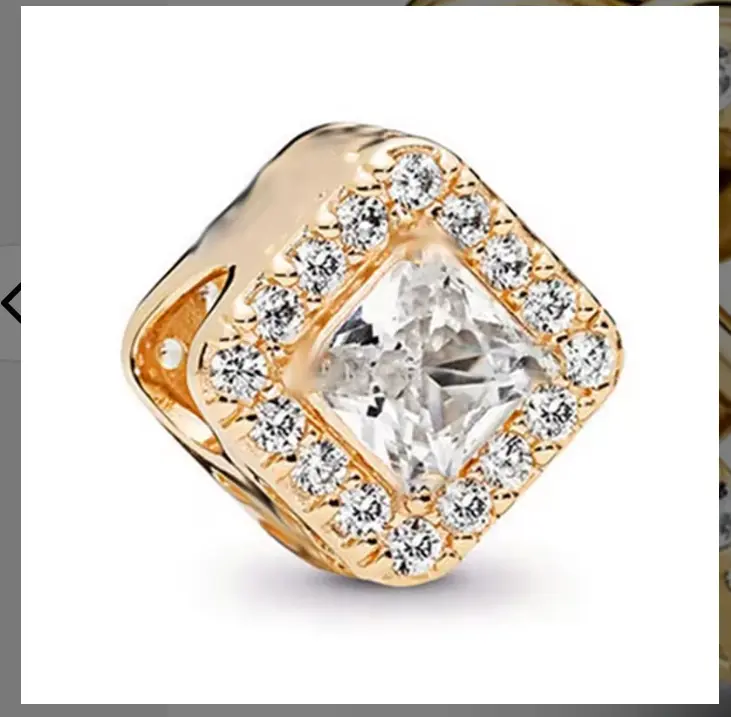AMNI Collection Charm Only (LIVE ONLY)