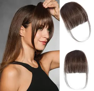 Clip in Bangs 100% Real Human Hair Extensions Clip on Wispy Bangs for Women Fringe with Temples Hairpieces