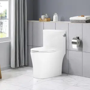 Elongated One-Piece Ceramic Toilet ，Quick-Install Locking Toilet Seat Cover
