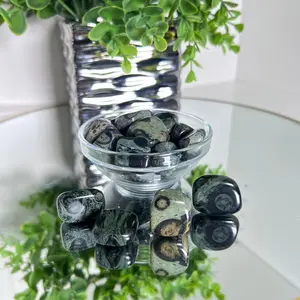 Kambaba Jasper Tumble