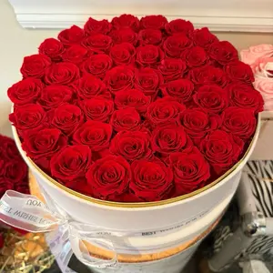 Box of 47 Red Preserved Roses Box