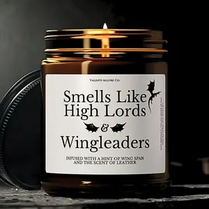 Smells Like High Lords and Wingleaders Candle, Fourth Wing ACOTAR Gift, Xaden/Rhysand, Book Lover, Book Candle Gift, Librarian Bookish Gifts
