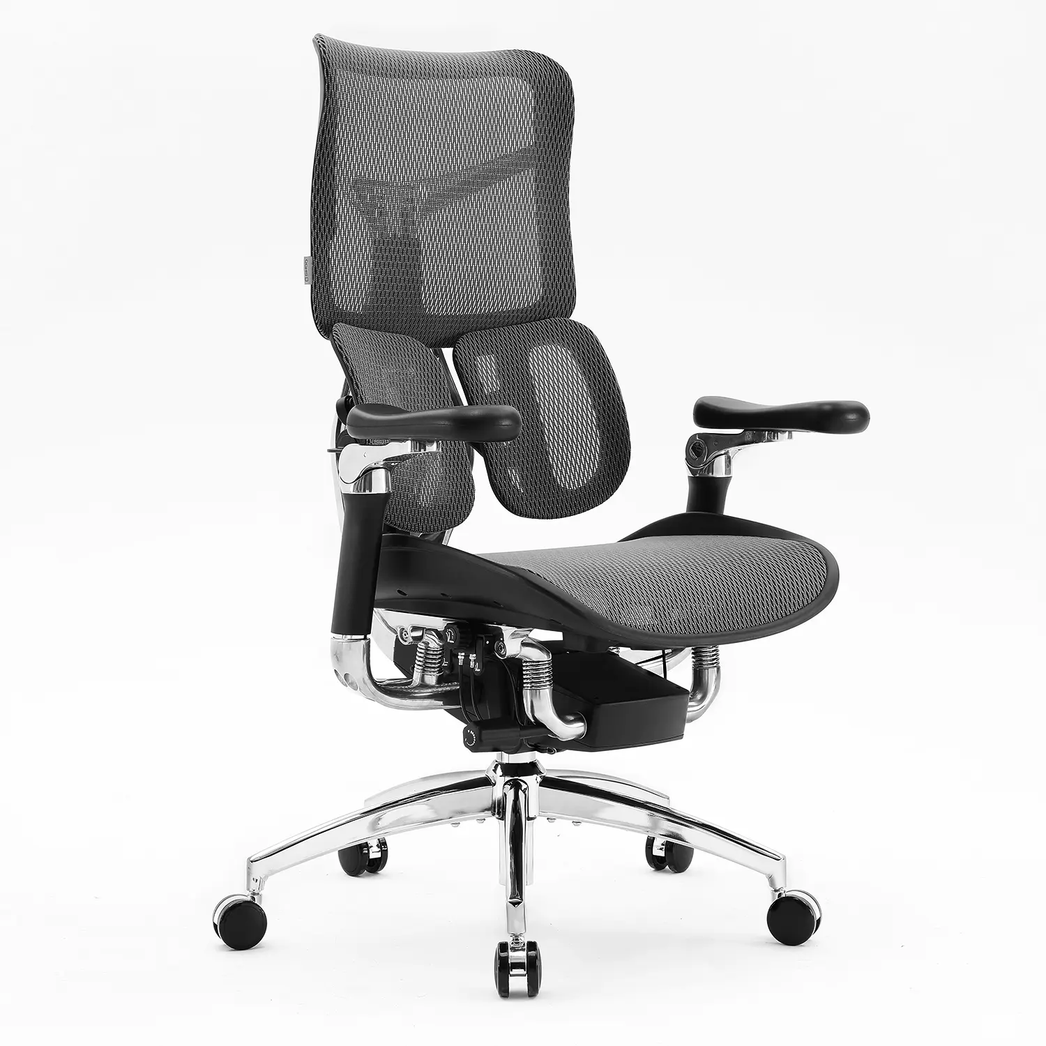 SIHOO Doro S300 Adjustable Ergonomic Office Chair - Dual Dynamic Lumbar Support, 6D Armrests, Headrest, Mesh Desk Chair for Home Office