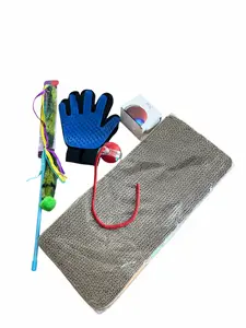 PetZone Ultimate 4-in-1 Cat Care & Play Set – NEW Scratch Pad Edition