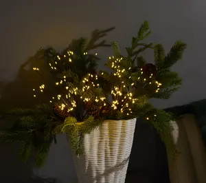 Bethlehem Lights (2) Star Bursts with Remote - Black Wire