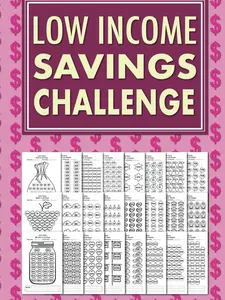 Low Income Savings Challenge Book: Simple Money Savings Challenges Tracker for Women, Easy Way to Save Money $100, $150, $200, $250, $300, $400, $500