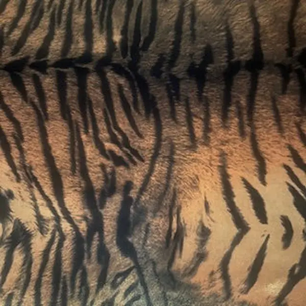 Tiger Stripes Animal Print Foil Spandex Fabric - 36" x 60" High-Quality Polyester and Spandex, Elite Impact Luxe 4-Way Stretch, Exceptional Flexibility Textile for Sewing Supplies, Dynamic Dancewear, Performance Wear, Polyester-Spandex