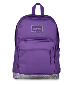 JanSport Unisex Right Backpack Expressions