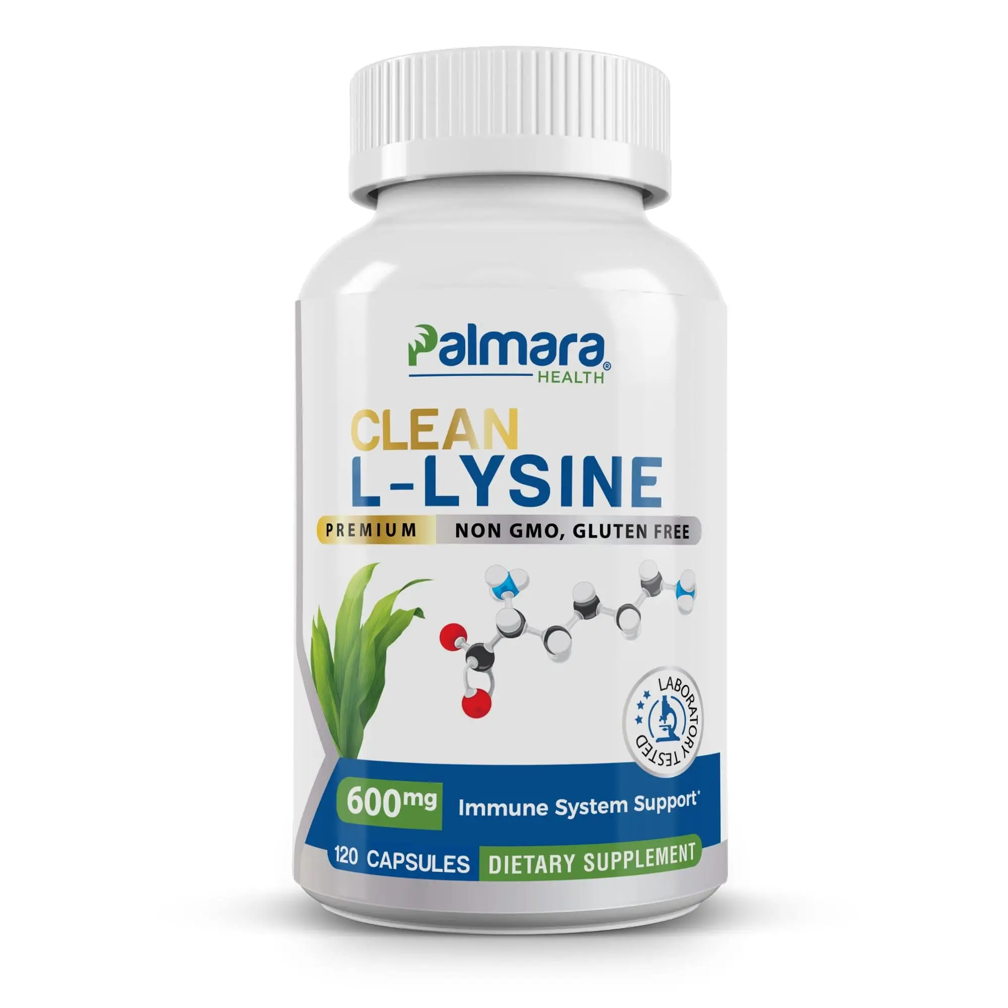 Clean L-Lysine 600mg – Additve-free Formula for Immunity and Muscle Recovery | Palmara Health