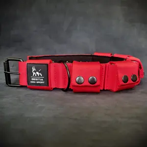Weighted dog training collar- Red. Large breeds. 5 lbs total. removable weights