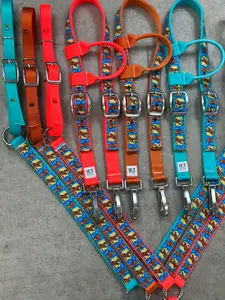 Scooby Doo Tack Set
