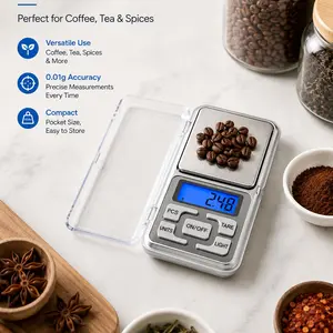 500g/0.01g Mini Digital Portable Scale, Jewelry Kitchen Scale, Blue LCD Display, Transparent Cover, Compact Precision Scale