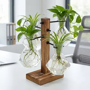 Hydroponic glass vase with wooden stand, suitable for home and office use, for aquatic plants, bouquets, (diamond vase)