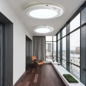 1/2-Count Rechargeable Motion Sensor Light with Remote Ceiling Light Operated Closet Lights Ceiling Light Timing Dimmable 7.09in for Closets Shower Stair Pantry Hallway Porch