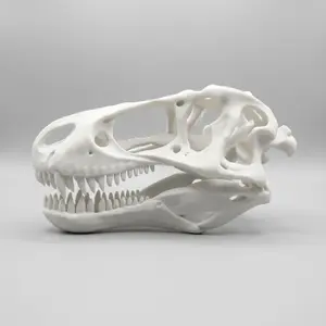 Spiratherium Nexus Skeleton – Unique Spiral Dinosaur Skull 3D Printed Art