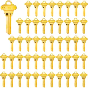Brass Finish Uncut SC4 (6SH1) 6 Pin Key Blanks, 50-Pack Blank Keys for Lock Replacement