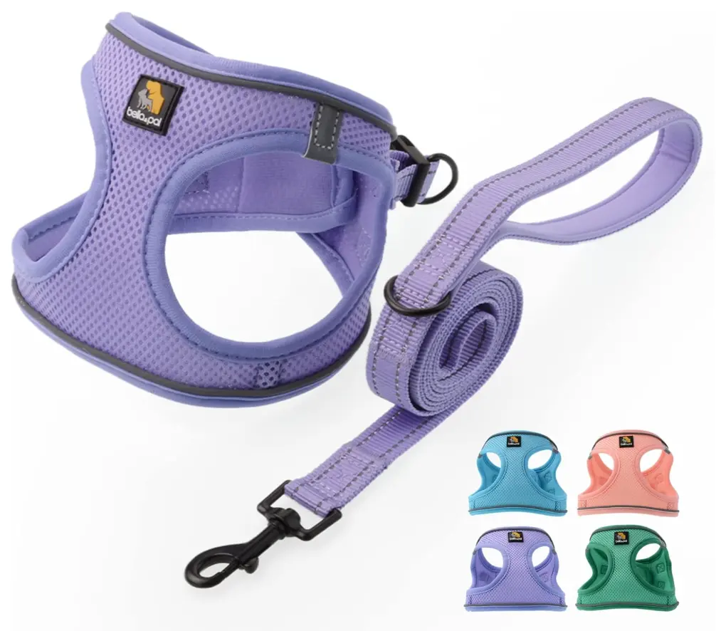 BELLA & PAL Step in Vest Harness (Lavender, XXS)