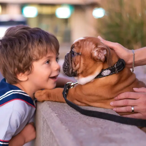 Euro Dog Collars and Leashes