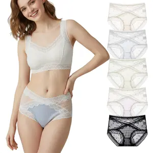 Women's 4-Piece Comfortable Lightweight Breathable Mesh Panties - Multi-Color Combination 1, Soft Elastic Semi-Transparent Lace-Trimmed Retro Sexy Lady Underwear for All-Day & Period Wear
