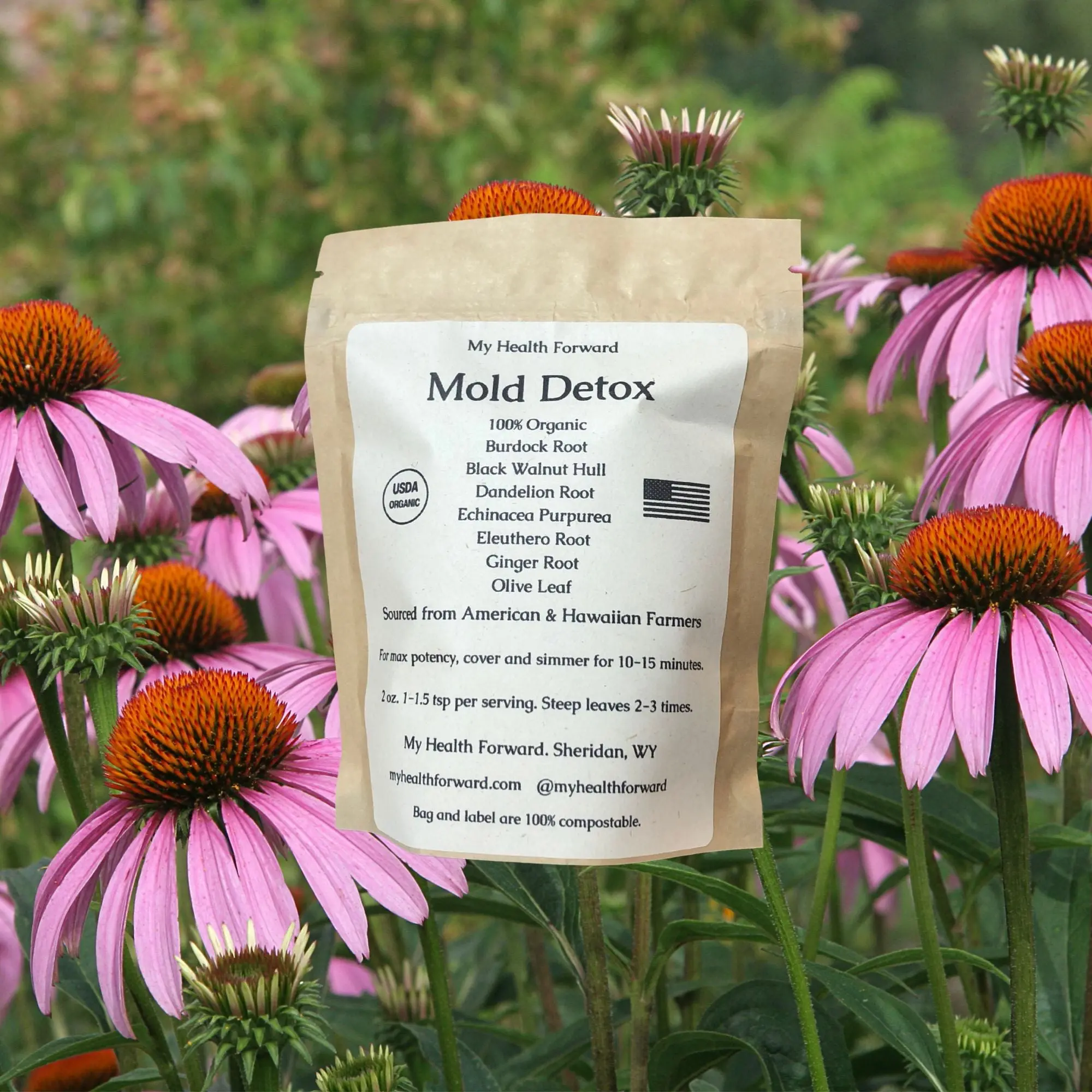 Mold Detox Organic Herbal Tea - Loose Leaf Tea for Detox Support