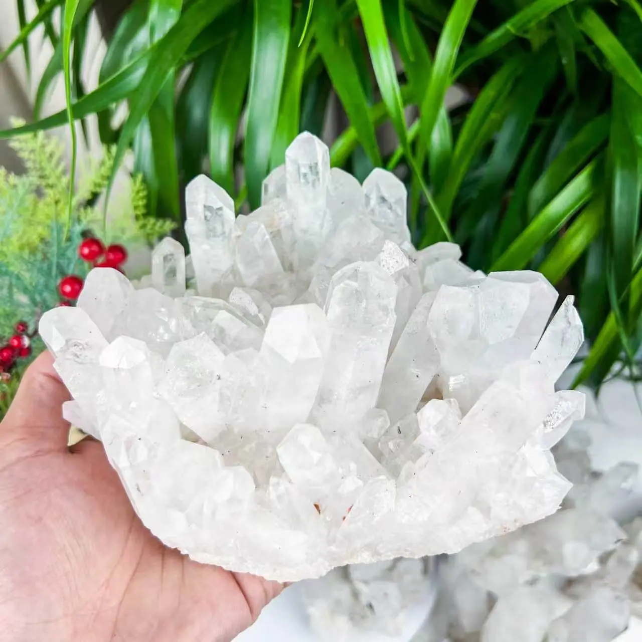 Clear Quartz Cluster