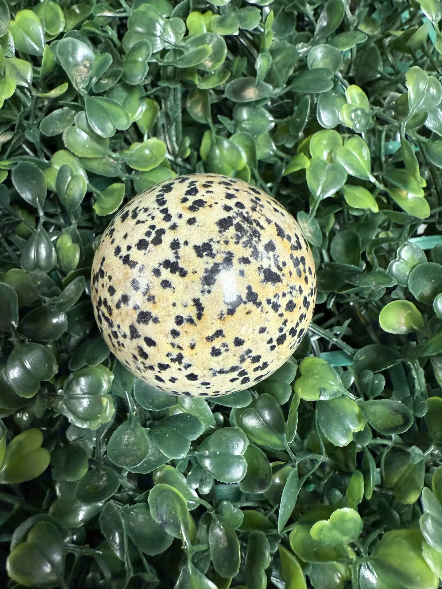 Natural Spotted Dalmatian Jasper Sphere Stone - 40mm (1.7in) Polished Crystal Decoration, Creamy Background with Black-Brown Specks, for Balance, Fosters Positivity, Enhances Aura, Encourages a Lighthearted Approach, Dissolves Emotional Barriers