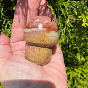 Polychrome Jasper Mushroom