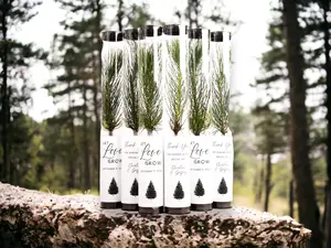Gift Tree Seedling Event Favor - Unique Evergreen Pine or Redwood Variety for Wedding Memories - Easy Planting Instructions - Perfect Year-Round Gift