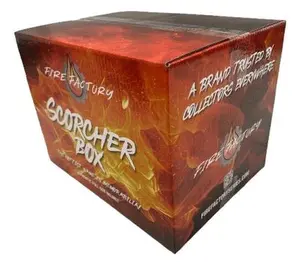PYT NFL Authentic Fire Factory Scorcher Exclusive Vaulted Breaks Helmet #