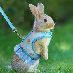 Outdoor AirVest Adjustable Breathable Harness & Leash Set for Rabbits/Guinea Pigs | Escape-Proof Mesh with Soft Cushion Straps