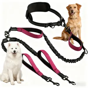 Hands-Free Double Dog Leash for 2 Dogs – Tangle-Free Dual Lead with Reflective Stitching & Padded Handle for Medium & Large Dogs Adjustable Stainless Steel Martingale Collar outdoorfun two
