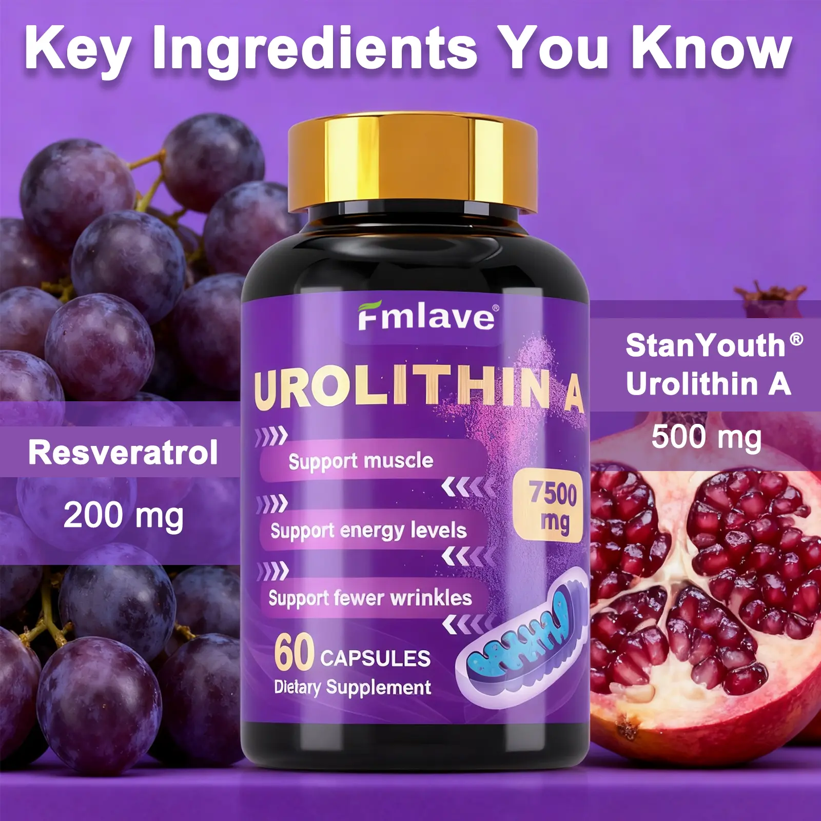 Fmlave Urolithin A Capsules | 500mg Patented Urolithin, Vitamin C + Resveratrol | Supports Healthy Aging, Cell Renewal & Muscle Strength | Suitable for Both Men & Women