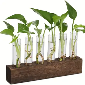 Tabletop and wall mounted glass flowerpot, plant spreading station with 6 test tubes, plant glass container for home office garden living room bedroom, gift for ladies