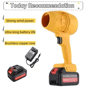 Handheld Cordless Hair Dryer Electric Wireless Leaf Blower with Battery Fast Charger Jet Car Dryer for Blowing Leaves Dust Water Removal Birthday Halloween Gift